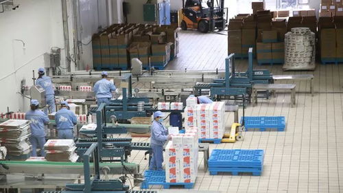 打造一片凈土，開足馬力保牛奶制品安全供應(yīng)與勞動保護(hù)用品銷售